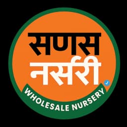 Sanas Nursery